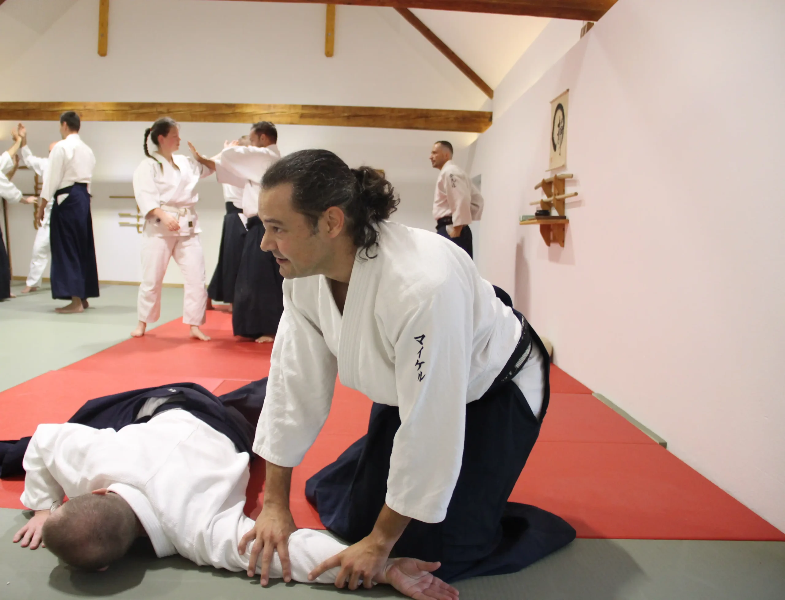 Aikido Training