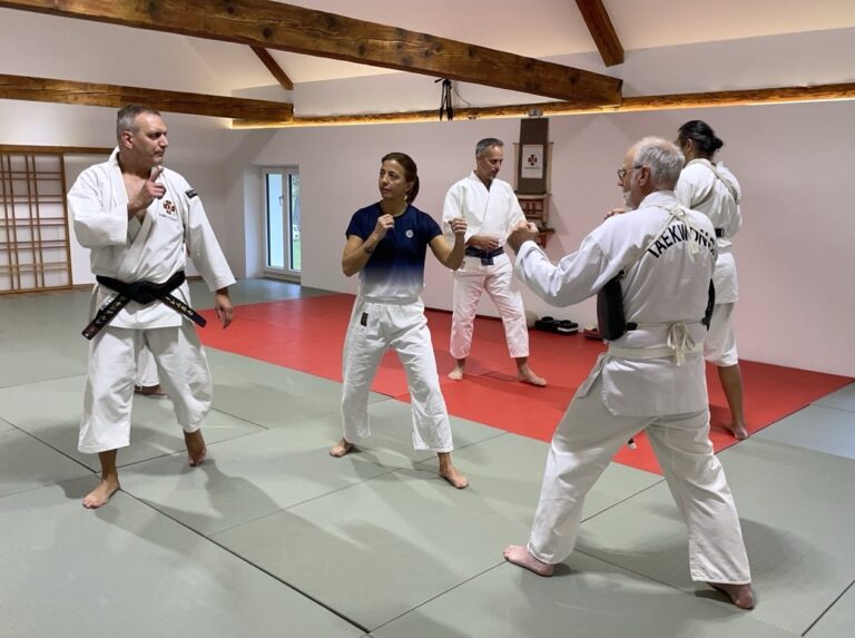 Mein erstes Shorinji Kempo Seminar in Sierning